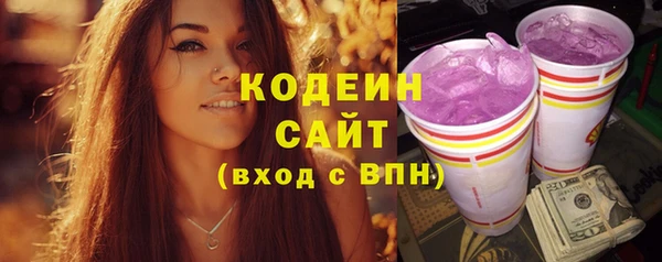 эйфоретик Бородино