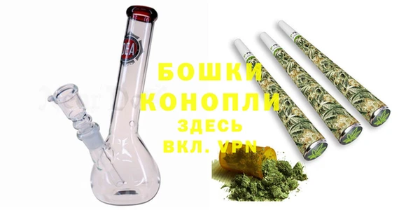 эйфоретик Бородино