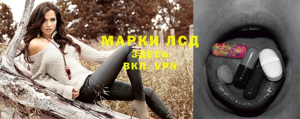 эйфоретик Бородино