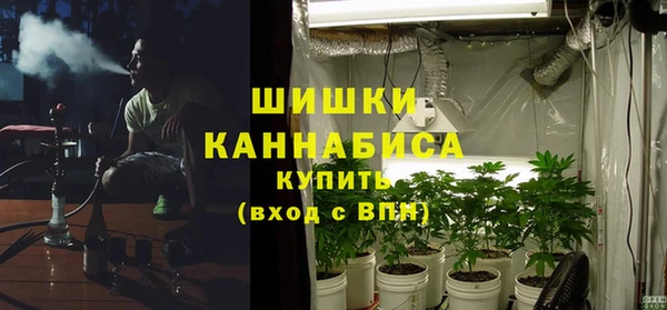 стаф Бронницы